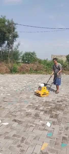 Baby roller jack hammer molen genset pemadat stamper kodok kuda