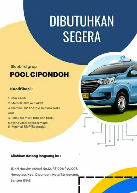 BUTUH KERJAAN? DRIVER BLUEBIRD SOLUSI NYA