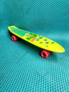 Plastic Skateboard second