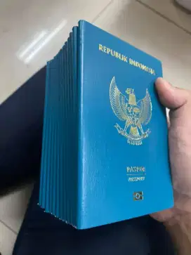 JASA PENGURUS PASPOR, VISA, KITAS, RPTKA, IMTA, SKTT, STM, SKCK