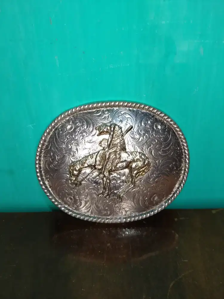 BuckeL Cowboy usa