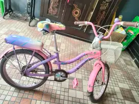 Sepeda anak uk besar