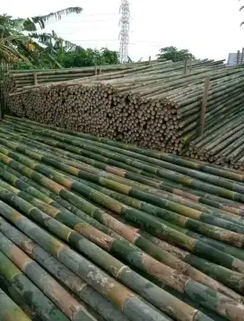 Jual bambu stger 7/8-8/10