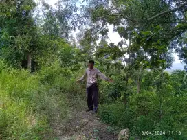 Tanah dengan View pegunungan sangat indah dan asri