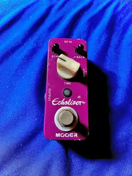 Mooer echolizer