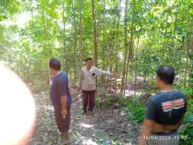 Tanah murah Akses jln aman mangku jln cor blok