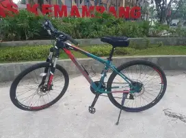 Dijual Sepeda MTB Polygon Cascade 4 2019 Bekas Ori Mulus Harga Nego