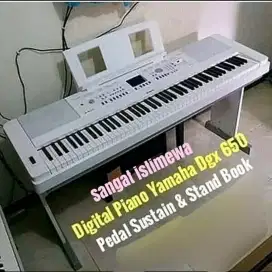 Jual piano yamaha dgx 650