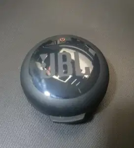 JBL charging case