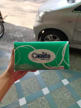 Tissue Cassie Facial 200gr 2ply (1 Dus)