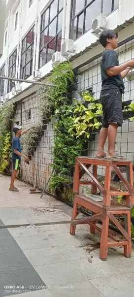 tukang taman terdekat