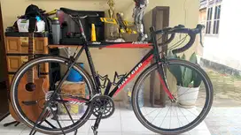 Roadbike polygon Helios 300 Limited