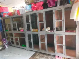 Penitipan kucing