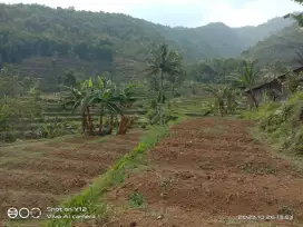 Dijual kavling view sawah Gunung Cidahu Sukabumi