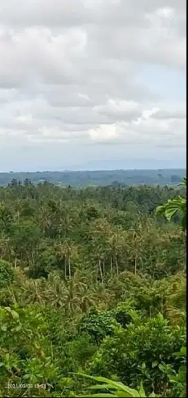 Tanah view lembah dan gunung di Selemadeg Bali
