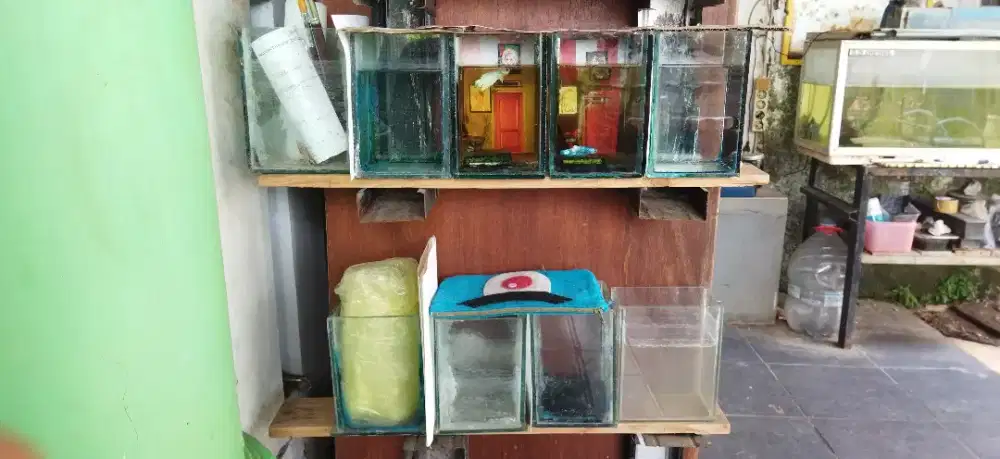 Aquarium ukuran besar sedang kecil