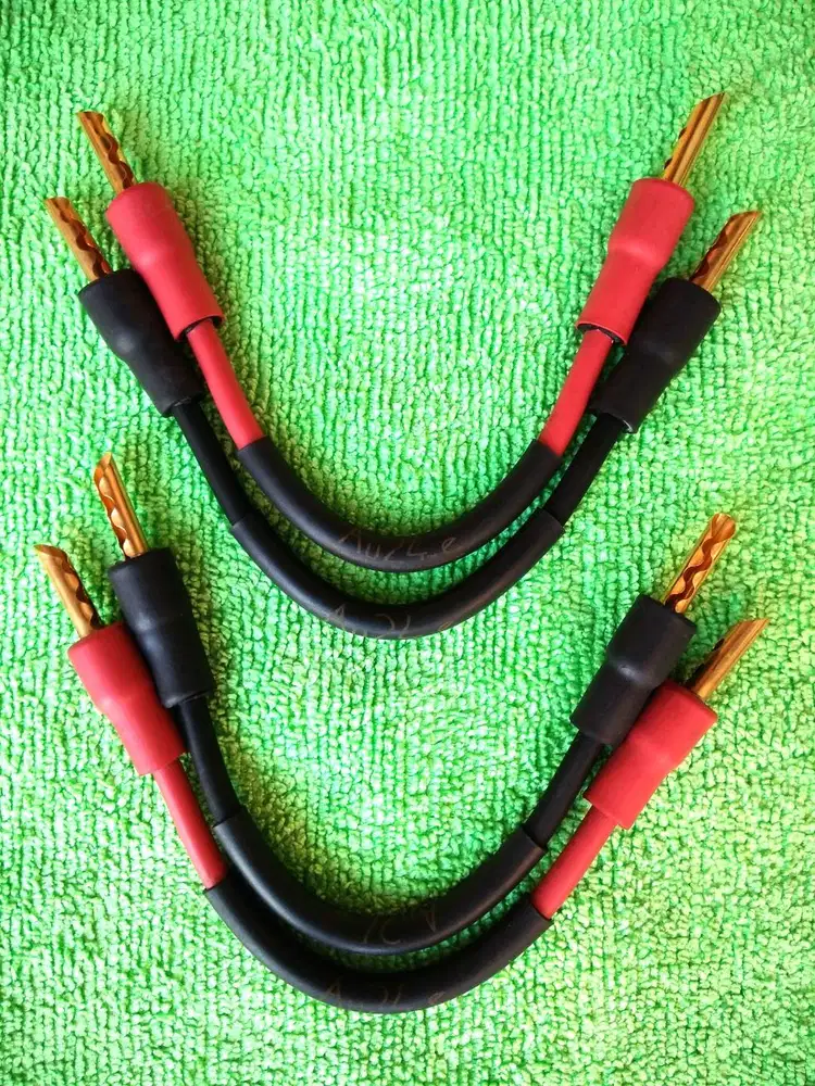 Audience Audio Video