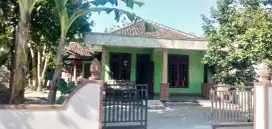 Rumah Kontrak Keluarga, Mahasiswa, Anak Kos