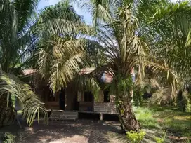 Dijual Tanah di Daerah Tanjungbalai Asahan