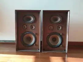 Speaker Vintage Peerless WJ50-4 Legend Denmark 3 ways 4 speaker