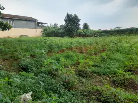 Tanah Murah  Ciluar Cijujung Sukaraja Bogor