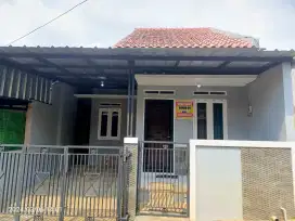 disewakan rumah pertahun masih bagus