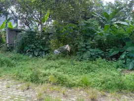 Tanah Kavling DKI Jagakarsa Jakarta Selatan