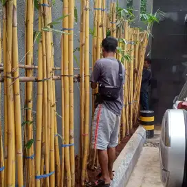 Tukang prawatan,renovasi taman baru untuk rumah,kantor dan pabrik.