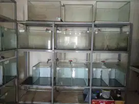 Aquarium, Rak ,dan Ikan discus full setingan Rp.16Jt *bisa nego