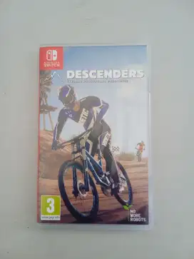 Nintendo Switch descenders