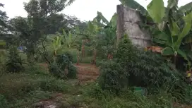 DIJUAL CEPAT ATAU DISEWAKAN SEGERA TANAH CISAUK - BSD