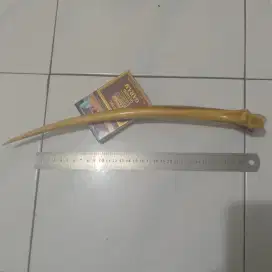 Barang super langka, tulang punggung ikan marlin panjang lebih 30cm