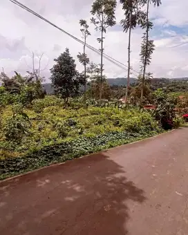 Tanah istimewa kemuning ngargoyoso Karanganyar jateng