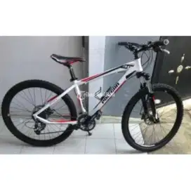 Sepeda MTB polygon xtrada 3