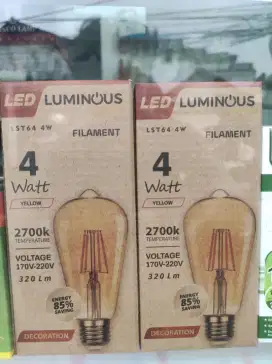 LED filament Luminous