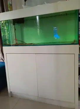 Aquarium Full set