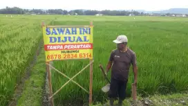 Dijual cepat tanah sawah strategis bisa utk rumah atau usaha