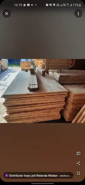 Distributor kayu jati Belanda