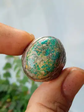 Pirus Persia Urat Jala Serat Emas Lawasan