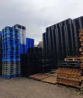 Palet plastik anti rayap