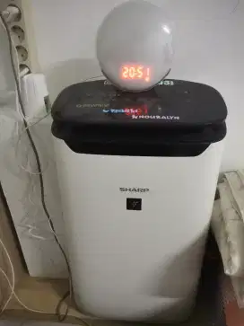sharp fp j60y white air purifier