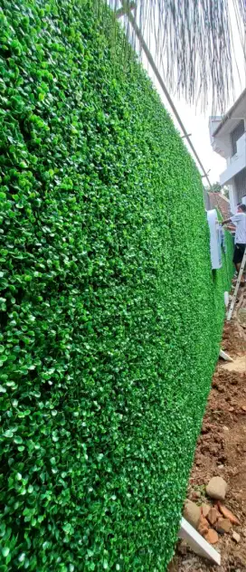 Daun Sintetis Dolar Untuk Dinding