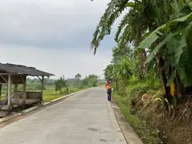 Tanah DIjual - Desa Talaga Cugenang Cianjur