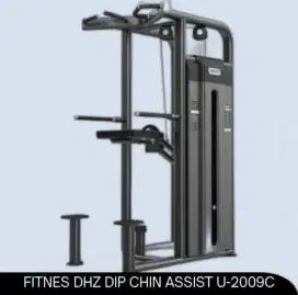 FITNES DHZ DIP CHIN ASSIST U-2009C ALLIEN SERIES