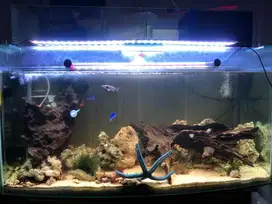 Aquarium uk. 120 full set top filter, pompa, ikan dan batu dan pasir