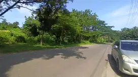 DIJUAL LAHAN PERUMAHAN 41.690 m DEKET KAMPUS NEGERI POLMAN MAJALENGKA