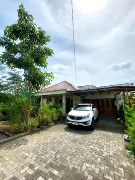 Rumah Luas Dikelilingi Persawahan Cantik dekat Jalan Bantul