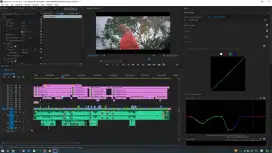 Editor Video Wedding / Comercil Lain