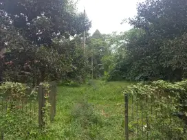 Kebun 2352 m2 Sagala herang Subang