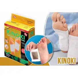 KOYO KAKI KINOKI GOLD GINGER